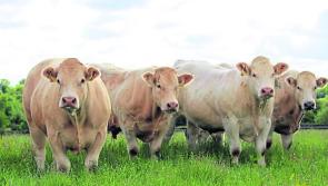 ICSA calls for slurry spreading deadline deadline to be extended until the end of October
