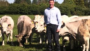 Two-Mile-Borris' Blackcastle Farm sausages for Aldi from this Sunday