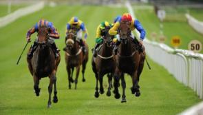 Tipperary racing fans mourn death of wonder horse Gordon Lord Byron