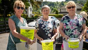 South Tipperary Hospice cocooners enjoy a memorable day out at Hotel Minella