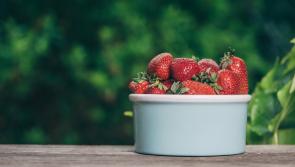 Gardening with James Vaughan: Reaping the rewards of the fruit garden