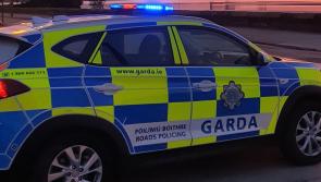 Driving ban for man who led Gardaí on high-speed chase