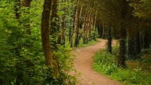 A Wellness Weekend in Tipperary - now that sounds like a tonic
