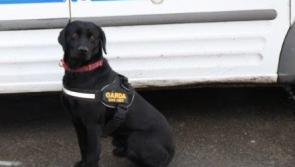 Gardaí in Roscrea have arrested two people and seized €3,650 in drugs and cash