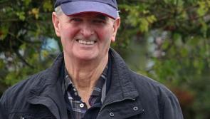 Tipperary deaths: Nenagh Classic Car Club cavalcade honours club president