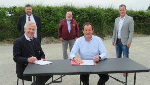 Roscrea RFC planning for the future