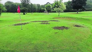 Repair work carried out at Lakeside Pitch & Putt following damage to green