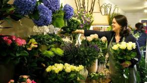 Cashel florist goes digital to connect with customers     
