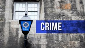 UPDATED: Eleven vehicles seized during CAB operation in county Tipperary  