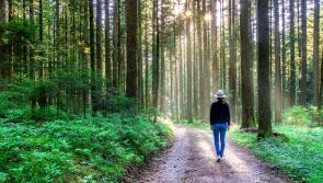 Tipperary council is seeking funding to develop new car park for walkers at Carrigmaclear 