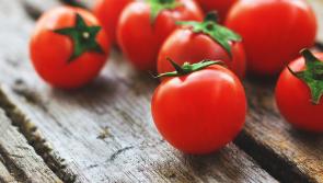 Gingergirl: Fantastic ways to use up extra summer produce