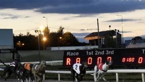Greyhound Racing: Rapid Riverside scorches to Tipp Cup victory at Thurles