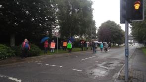 Tipperary residents protest over housing plan for Nenagh estate