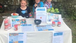 Tipperary children turn their tomato crop into meals for world's poorest