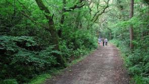Leave no Trace event to be held in Burncourt