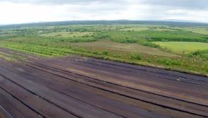 Six illegal peat harvesting sites in Tipperary are under investigation by EPA