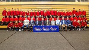Deadline extended for WIT Vikings Sport Scholarship for talented  Tipperary students