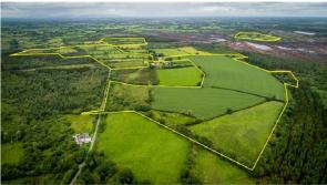 The Derrynaflan Chalice’s  ‘treasured lands’  are for sale