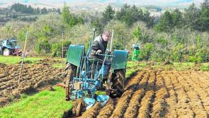 Excitement building in Tipperary for National Ploughing Championships digital events 