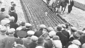 MEMORY LANE: The National Ploughing Championships were very different in the good old days