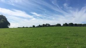 Compact holding near Borrisoleigh, Co Tipperary