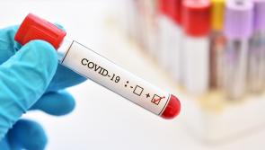 Covid-19 positivity rate of over 50% recorded this week, latest data reveals