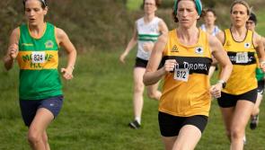 County Novice Cross Country Championships kick off tomorrow, Sunday, October 4 in Newport