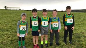 Moyne AC field 49 athletes at the Juvenile Even Age Cross Country Championships