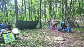 Roscrea Scouts back up and running