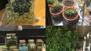 Drugs with estimated value of €22,000 seized in Tipperary village