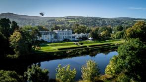 Clonmel hotelier predicts bleak period ahead for industry