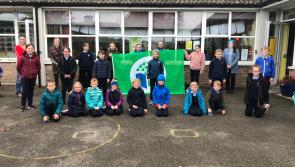 Rural Tipperary primary school to celebrate 50th anniversary with book