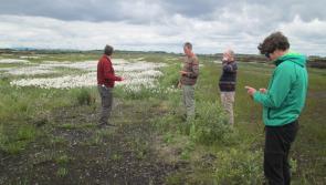 Good Biodiversity news from Littleton Bog Group