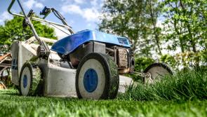 Gardening with James Vaughan: Repair and revive lawns for the season ahead