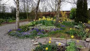 Thank you from Gortnalee Gardens