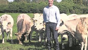 Tipperary beef producer John Commins to appear on this week's Ear to the Ground