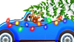 Help needed in Ballingarry to put up Christmas lights