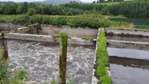 Environmental Protection Agency investigates pig farm units after complaints