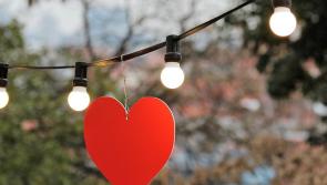 Volunteers needed for Ballingarry Tidy Towns Christmas street lights