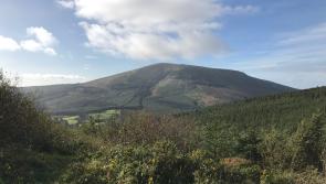 Tipperary councillor seeks National Development Plan review due to Covid-19 impact