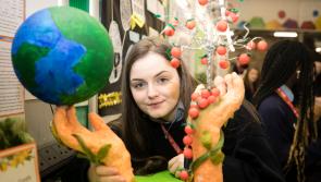 Thirteen projects from Tipperary qualify for BT Young Scientist Exhibition 2021