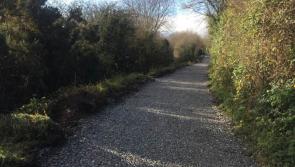 New walking loop from the Horse & Jockey to Derrynaflan Island