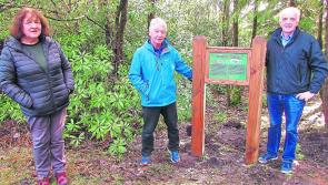 Info board for Lissava megalithic tomb unveiled