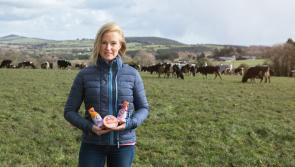 Supporting local: Meet Tipperary artisan producer Tullahay Farm