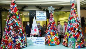 Age Friendly Roscrea create a Christmas Tree with a difference