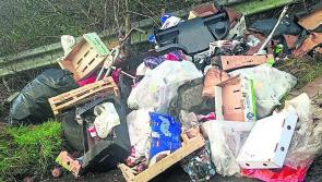 Call to ‘name and shame’ illegal dumping culprits in Tipperary