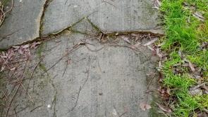 WIllowmore Drive footpaths in Thurles needs to be addressed says Cllr Jim Ryan