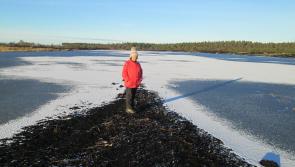 Icing on the lake at Killeens-Liskeveen, Littleton