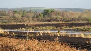The island of Derrynabron near Derrynaflan in Co Tipperary