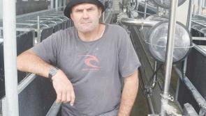 From Shanakill, Tipperary to Te Aroha, New Zealand: a determination to farm the land